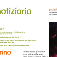 Autunno - Notiziario nr. 31 della Federazione delle Scuole Steiner-Waldorf in Italia